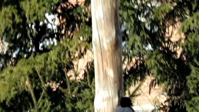 Омск 2019: масленица, блинфест, 9 марта