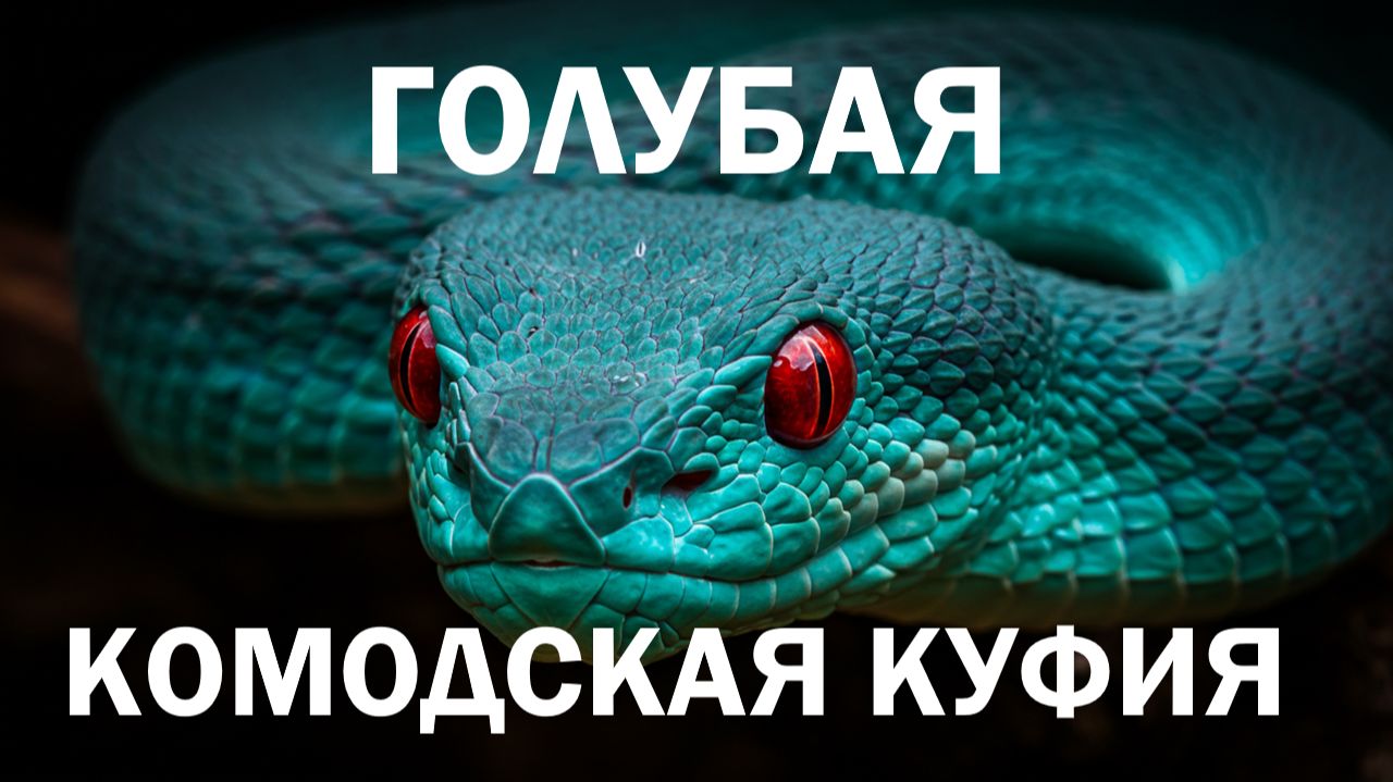 🐍 СИЯНИЕ СРЕДИ ДЖУНГЛЕЙ: как голубая комодская куфия живет с необычным окрасом