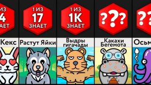 Сравнение: Пубертат Животных