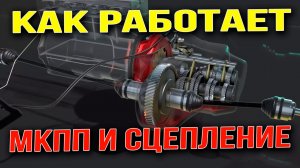 Как Работает МКПП и Сцепление! Уникальный Разбор в 3D!!!