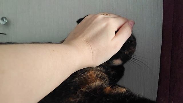 какие же они разные смотреть онлайн