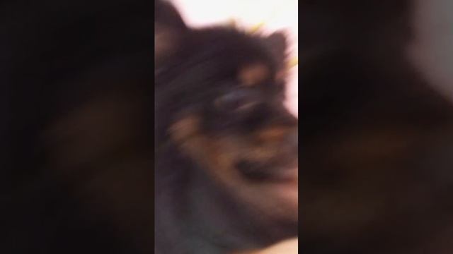 Кейси краситься смотреть онлайн