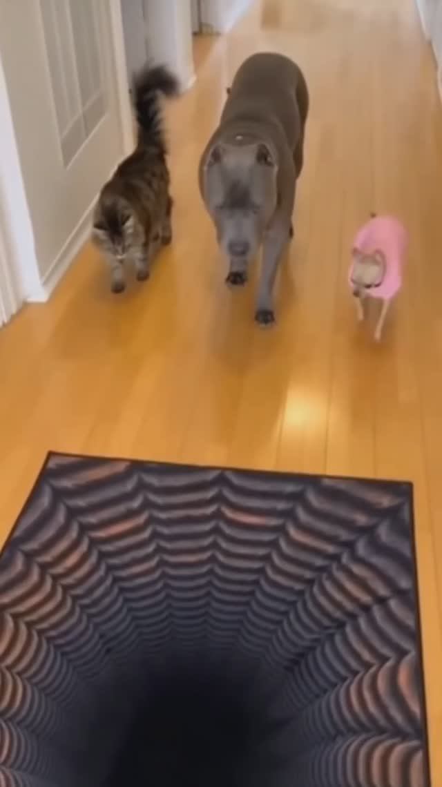 Прежде чем действовать, нужно проверить 🙂 смотреть онлайн