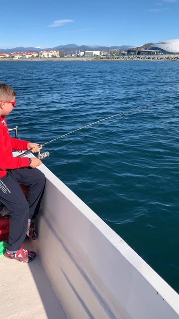 Ловим ставриду в Сириусе. смотреть онлайн