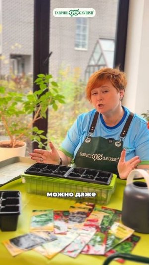 КАК ОРГАНИЗОВАТЬ ДОМАШНИЙ ОГОРОД?