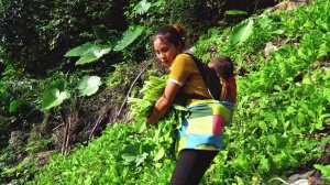 Мама поневоле 4 серия , сборы трав и продажа на рынке.