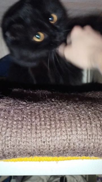 Перед выходом из дома