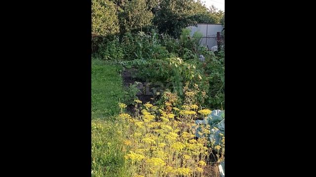 10169426 смотреть онлайн