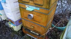 работа с пчелами в конце ноября - часть 4 , 28.11.2025