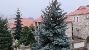 СНТ «Строитель»