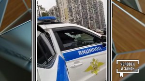 Видео недели: дети в полиции; дискотека для попугая. Человек и закон. Фрагмент выпуска от 28.11.2025