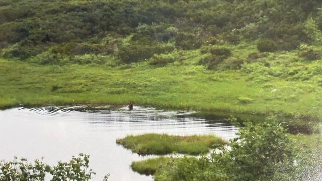 Ивашка.Лирика.