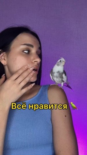 Мило получилось?