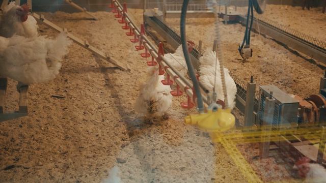 Фильм к 95 летию ЮУрГАУ