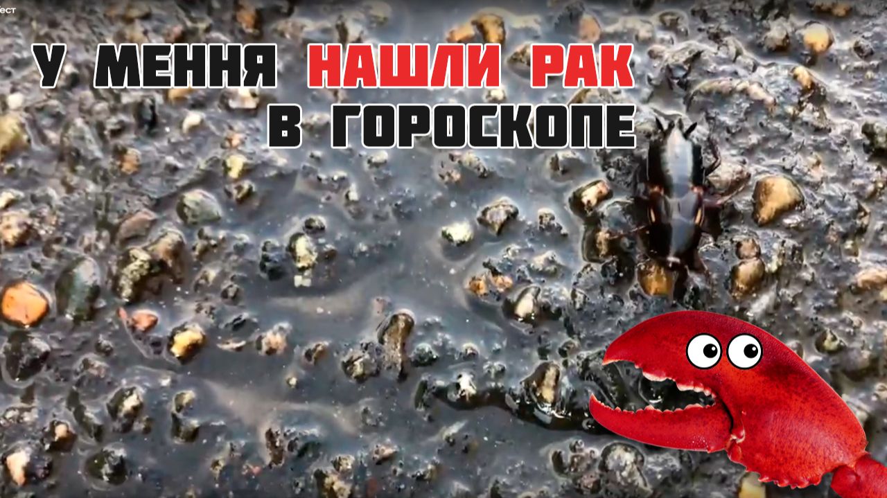 Тест: День уже не ночь и нужно проверять камеру iPhone