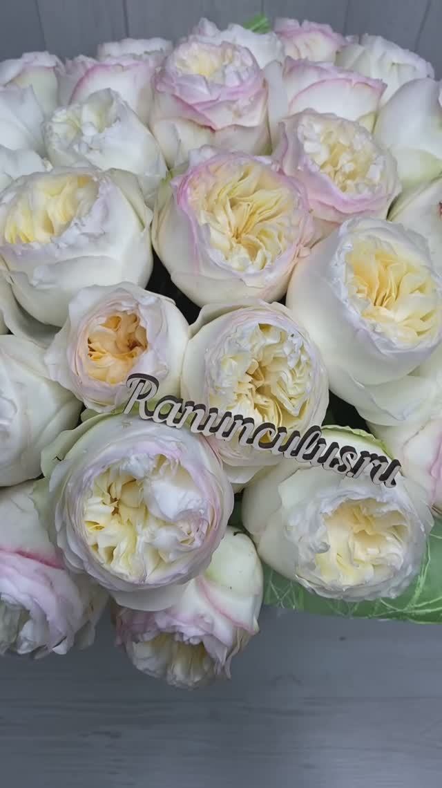 Букет из 35 роз Аврора Гарденс смотреть онлайн