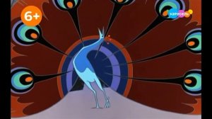 Плашка 6+ Карусель (24.11.2025)