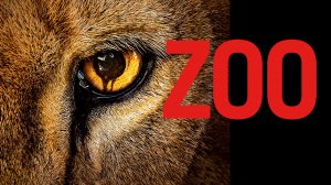 Сериал Зоо-апокалипсис / Zoo  — 1 сезон 7 серия