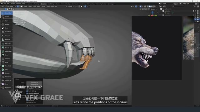 23 Oral Structure Creation 02 смотреть онлайн