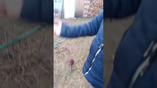 выходной с подругой