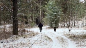 Часть 37. Шани пришлось спасаться на дереве