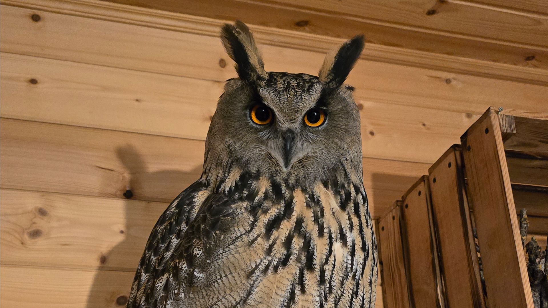 Запись стрима с ютуба от 27.11.25. Часть 2. смотреть онлайн