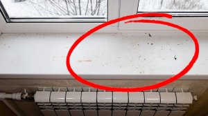 Как за 1 минуту очистить подоконник?