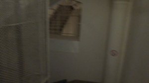 Пассажирский лифт V=1 м-с, Q=400 кг (5224), музыкальный лифт Ecomaks