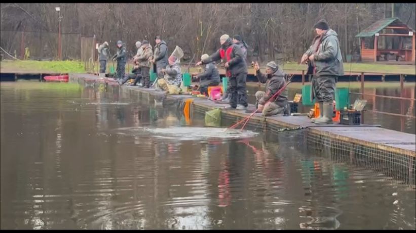 Поимки форели на спиннинг. Рыбалка на Спорт-зоне. Клёвое место Лосиный остров. смотреть онлайн