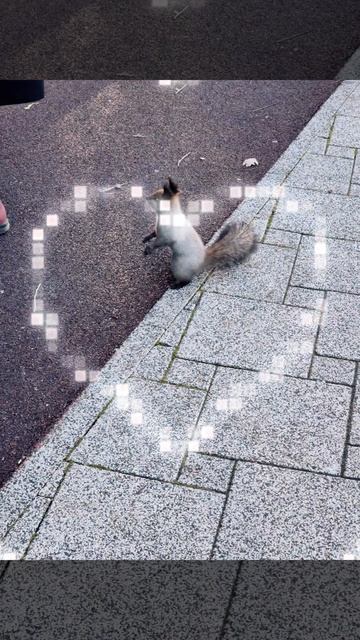 Ставрополь💝💖💗