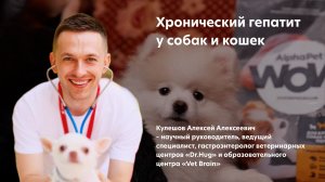 Гепатит у собак и кошек