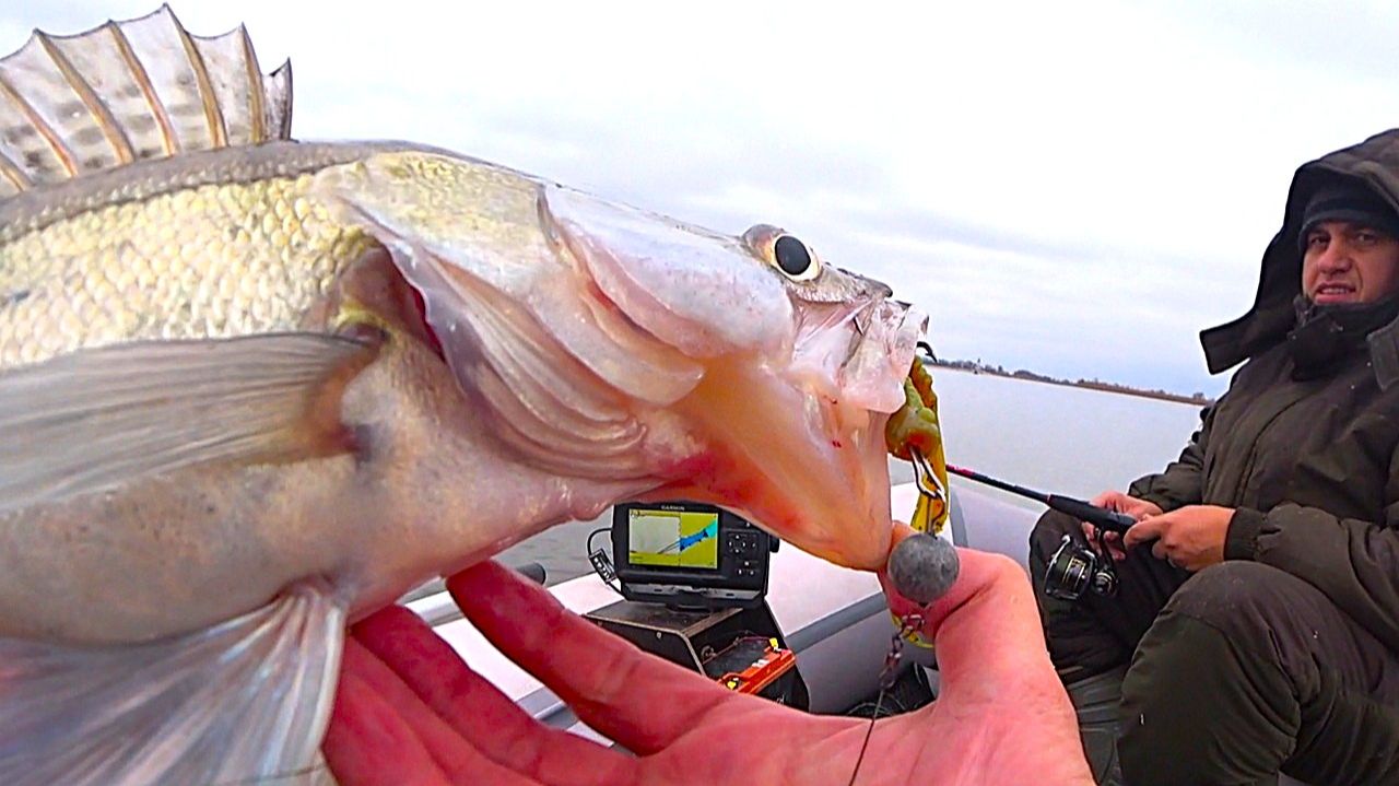 ЩУКИ, СУДАКИ, ОКУНИ!! ВСЁ КЛЮЁТ НА ЭТИ ПРИМАНКИ - РЫБАЛКА НА СПИННИНГ ОСЕНЬЮ смотреть онлайн