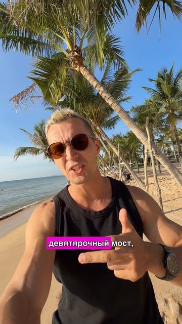 Приглашение Шри Ланка