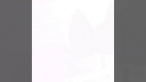 Южная ночь 🌙 Алексей Гоман