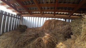 Деревенские будни / Середина ноября / Убрали индюков