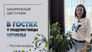 В гостях у Ирины. Ростов-на-Дону. Филодендроны или фикусы? Подвесные кашпо, общие посадки, питомцы.