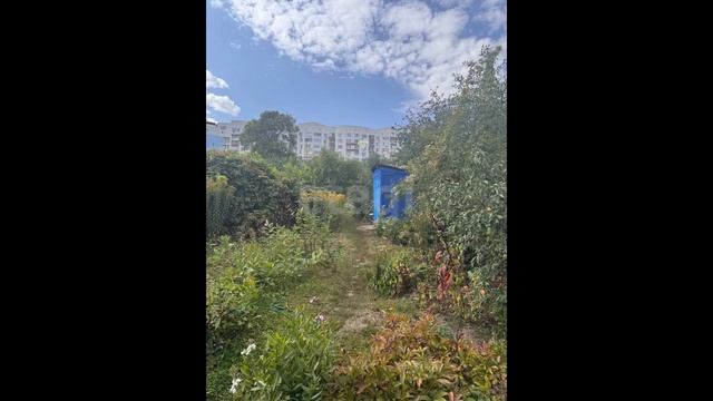 9826130 смотреть онлайн