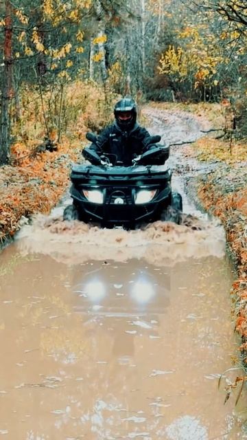 Электричка не проедет? смотреть онлайн