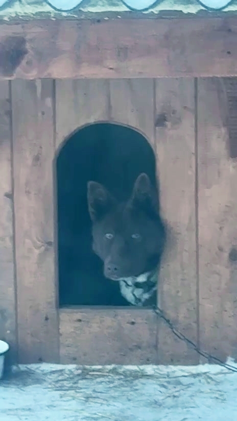 Мишка. Сижу с секретом!🤫😁 смотреть онлайн