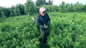 КАК Я ЗАРАБОТАЛ НА ДОМ В ДЕРЕВНЕ.