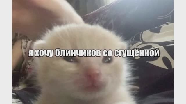 Хочу блинчиков) смотреть онлайн