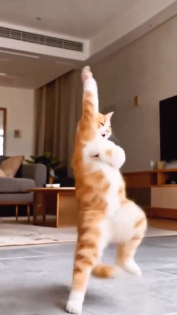 Dance смотреть онлайн