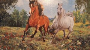 Когда уйдёт последняя любовь - автор и чтец (Маваки)