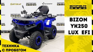 Квадроцикл Bizon YK200 BASIC CARB
