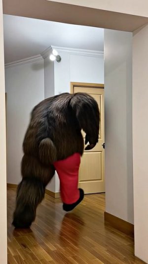 МОНСТР НАПАДАЕТ
