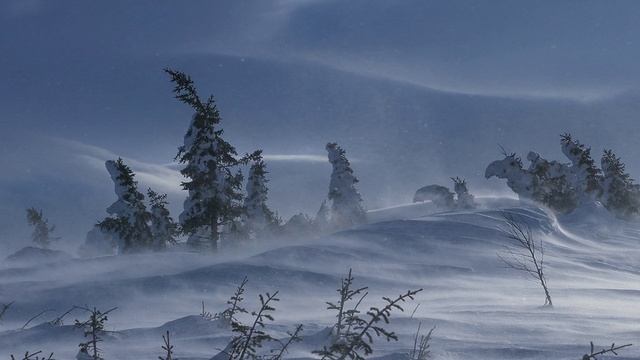 Севера смотреть онлайн