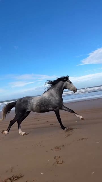 Наперегонки с ветром 💨 смотреть онлайн