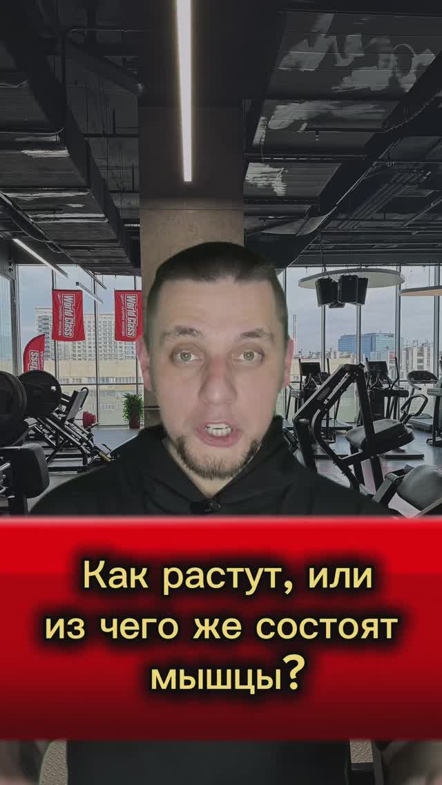 Как растут, или из чего же состоят мышцы?