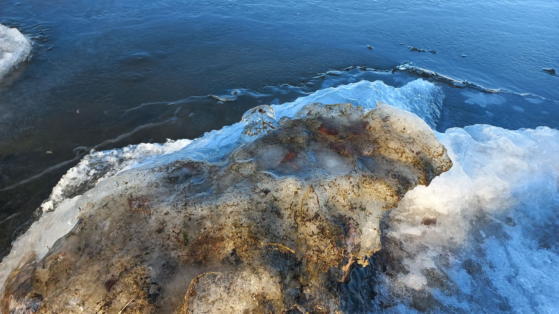 Озеро Вашты. Клюет так, что устала рука....