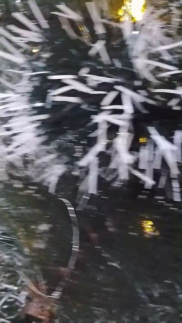 Ребят а вы украсили елочку??? пишите в комментариях ❤ смотреть онлайн